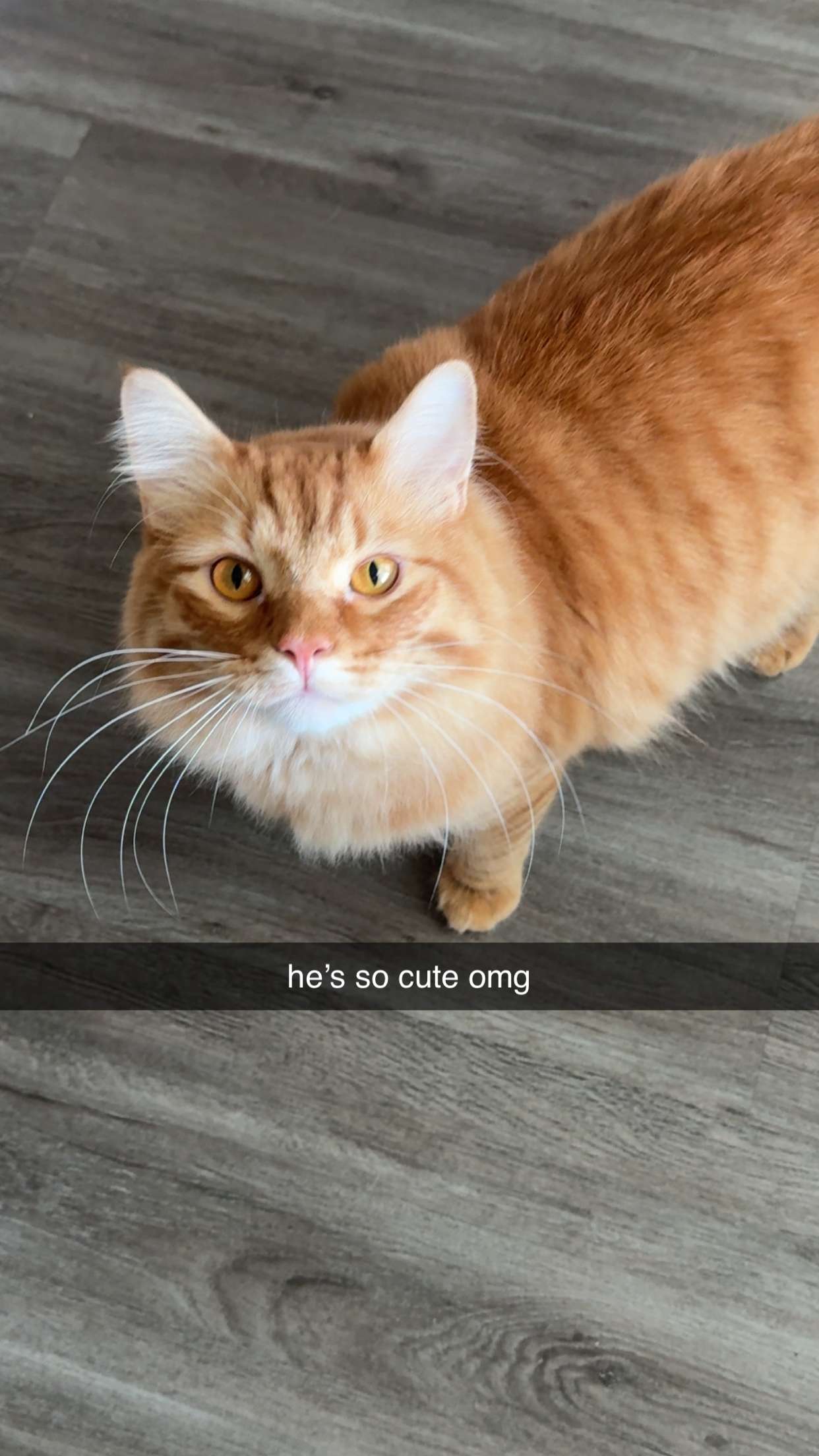 fionamaefit snapchat image archive image