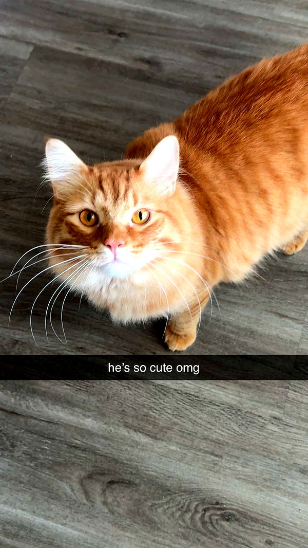 fionamaefit image ~ Altpins