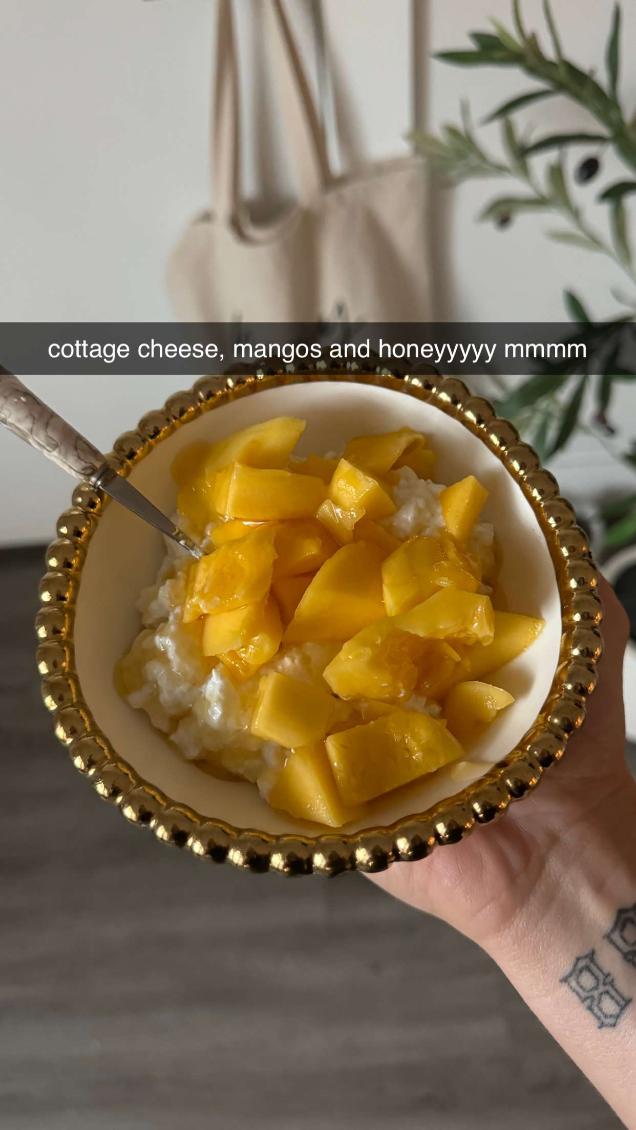 fionamaefit snapchat image archive image