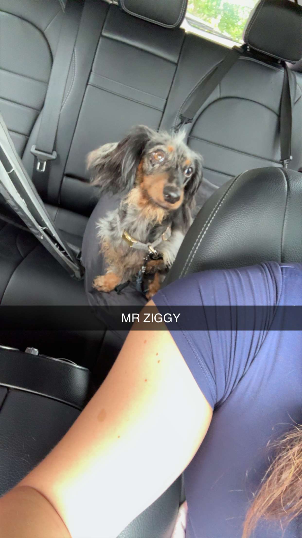 fionamaefit snapchat image archive image