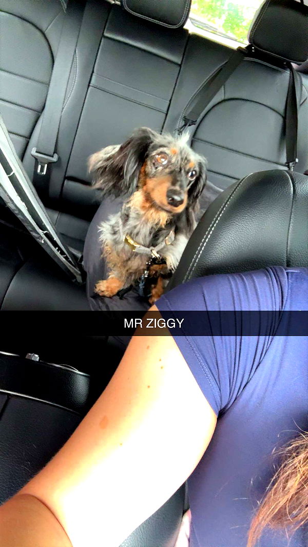 fionamaefit image ~ Altpins