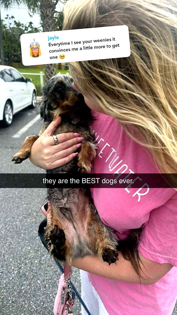 fionamaefit image ~ Altpins