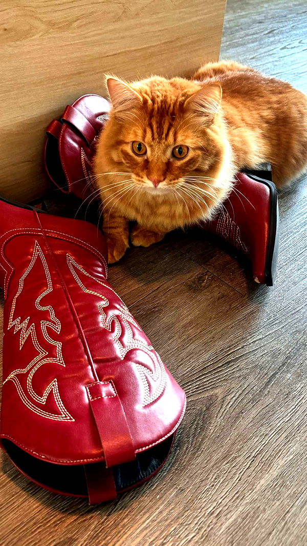 fionamaefit image ~ Altpins