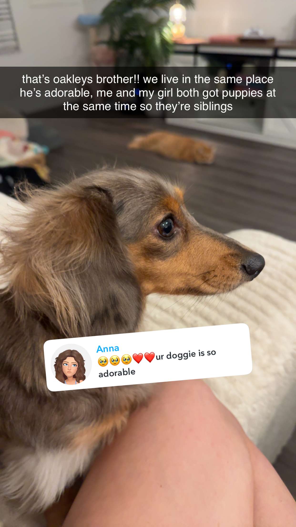 fionamaefit snapchat image archive image