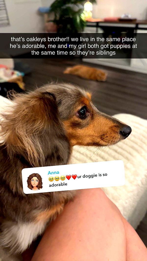 fionamaefit image ~ Altpins