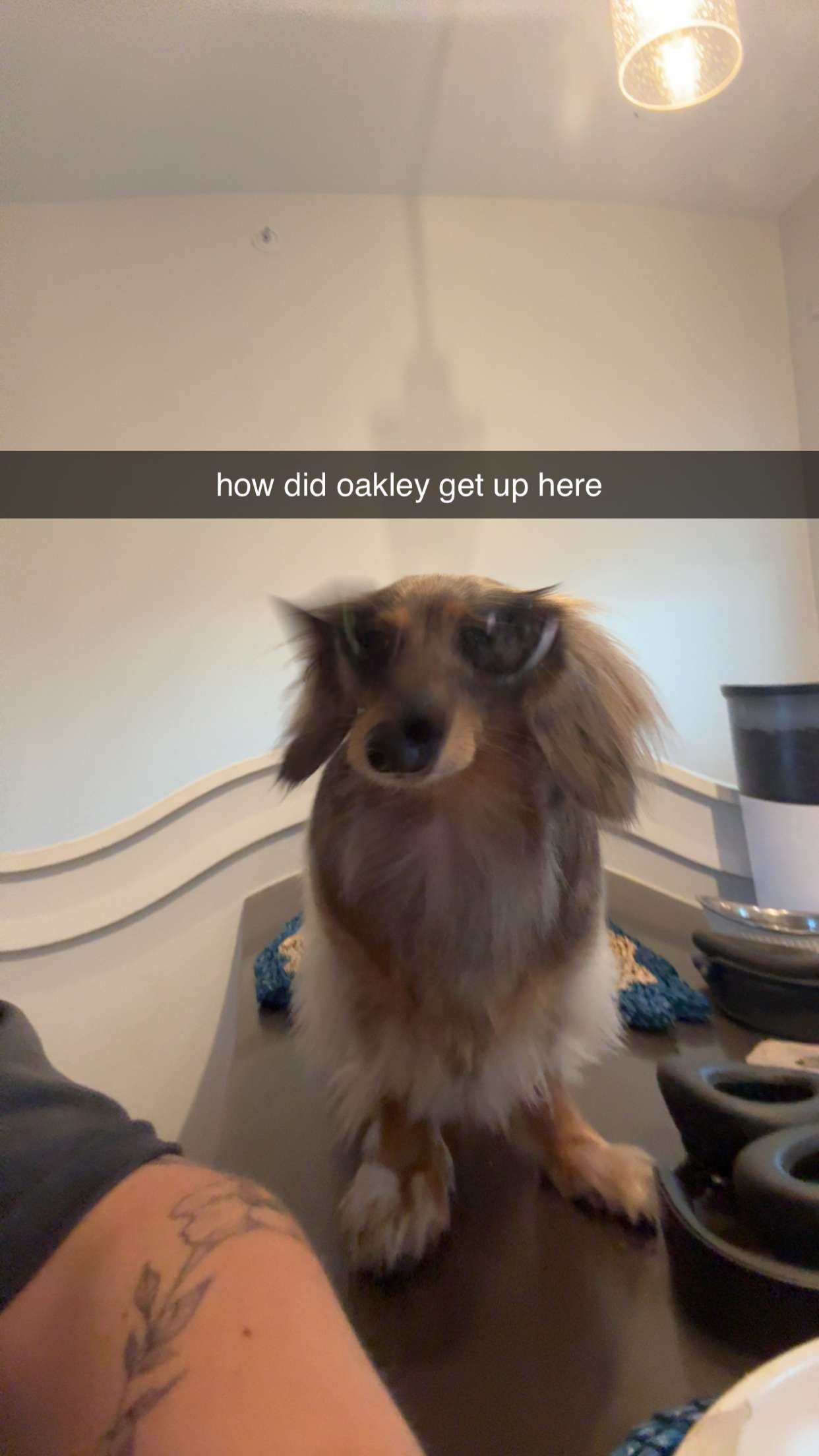 fionamaefit snapchat image archive image