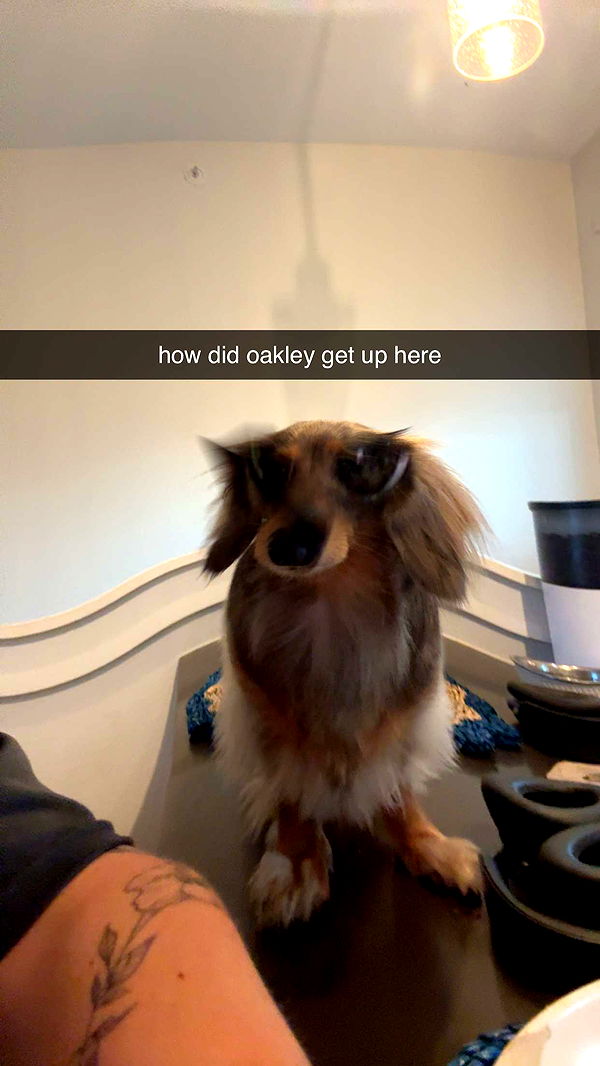 fionamaefit image ~ Altpins