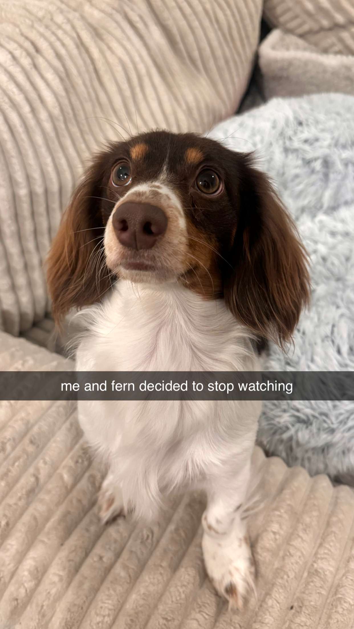 fionamaefit snapchat image archive image