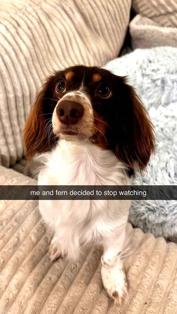 fionamaefit image ~ Altpins