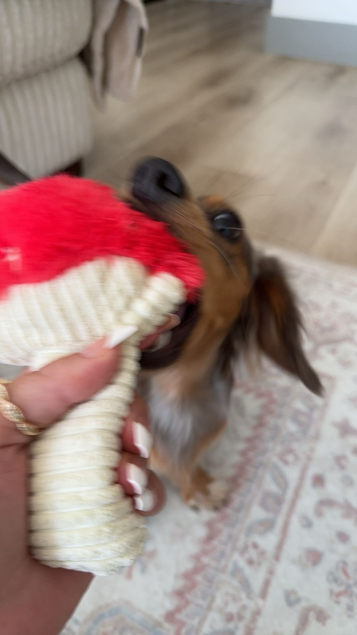 fionamaefit snapchat image archive image