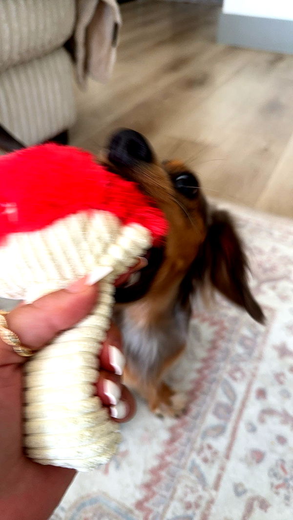 fionamaefit image ~ Altpins