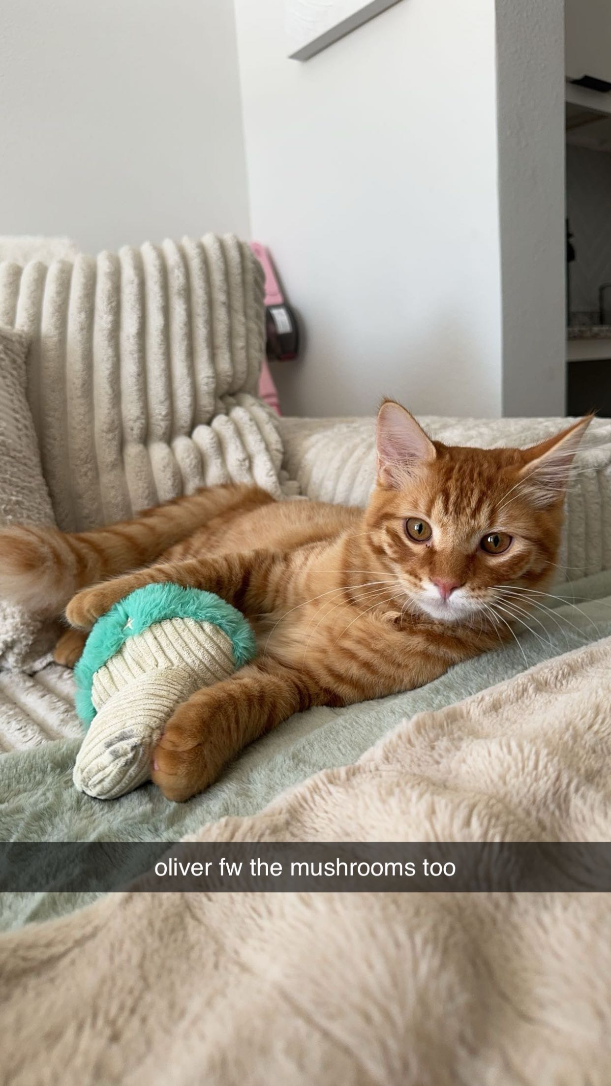 fionamaefit snapchat image archive image