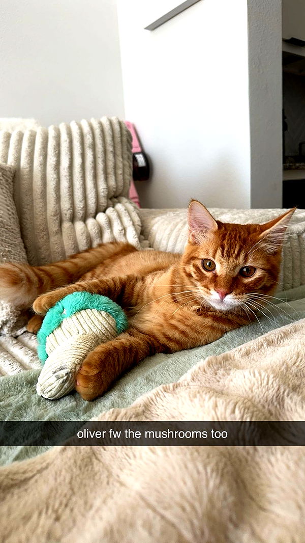 fionamaefit image ~ Altpins