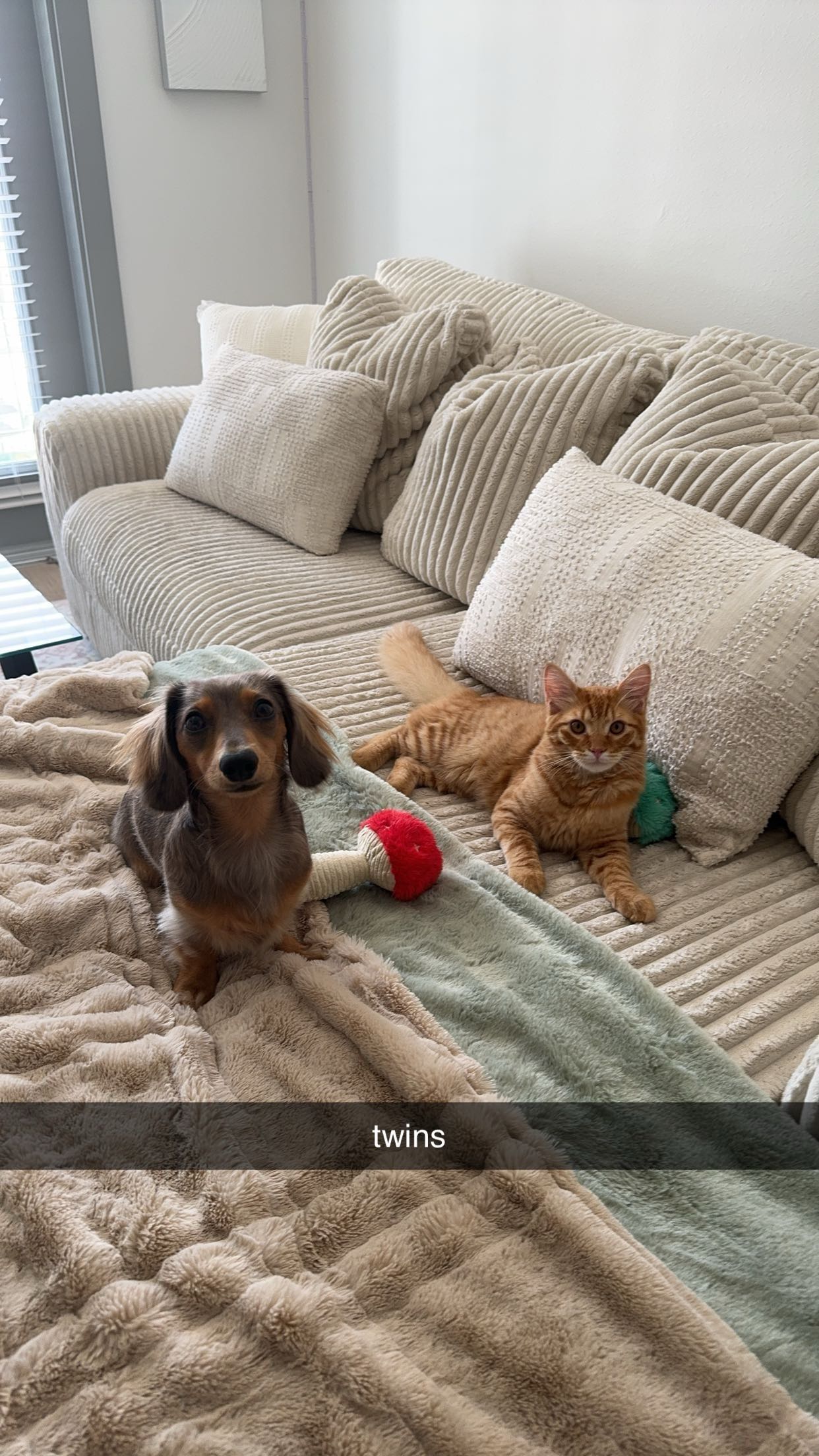 fionamaefit snapchat image archive image