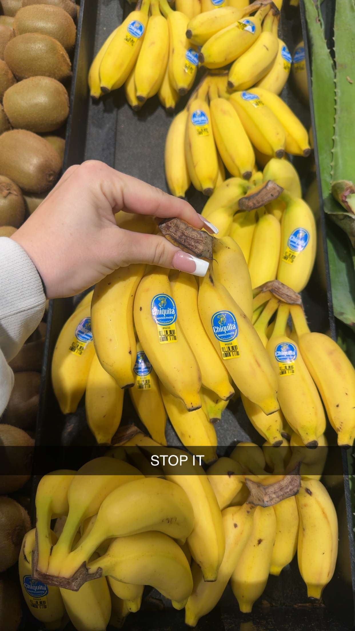 fionamaefit snapchat image archive image