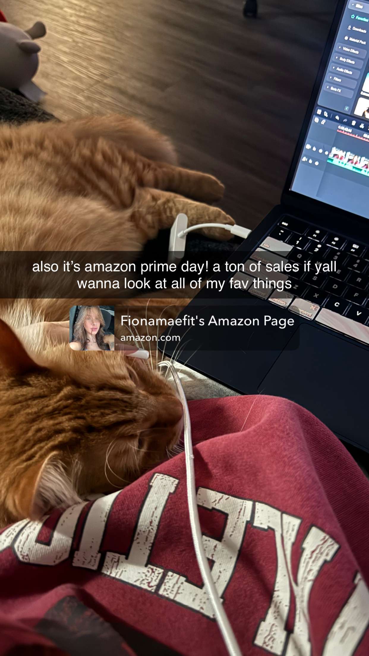 fionamaefit snapchat image archive image