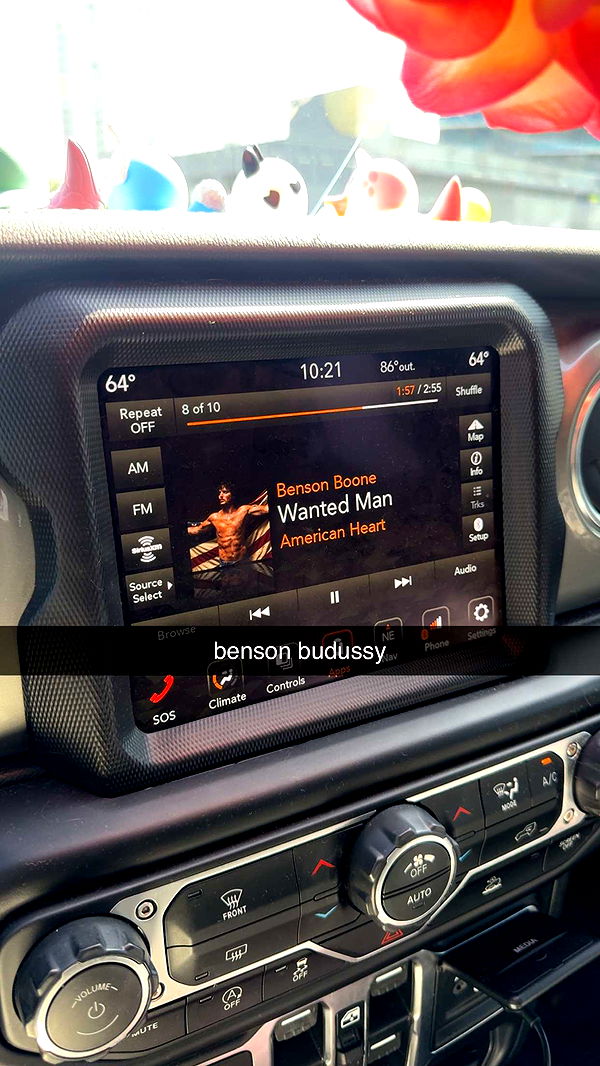 fionamaefit image ~ Altpins