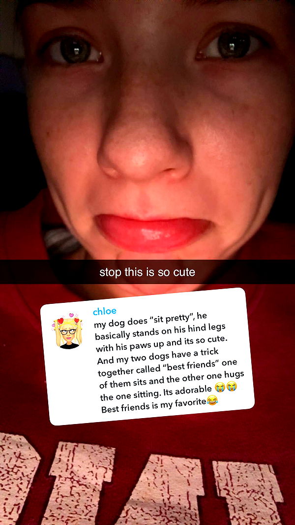 fionamaefit image ~ Altpins