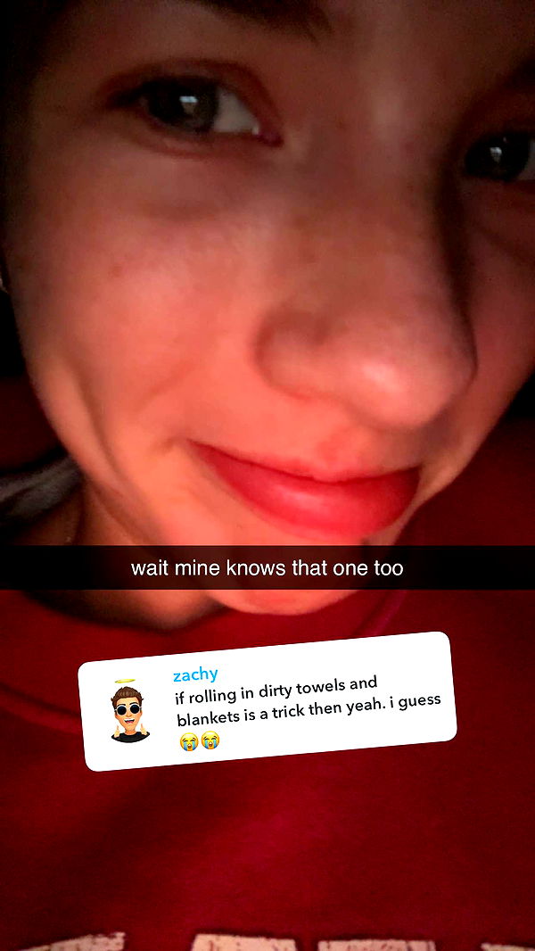 fionamaefit image ~ Altpins