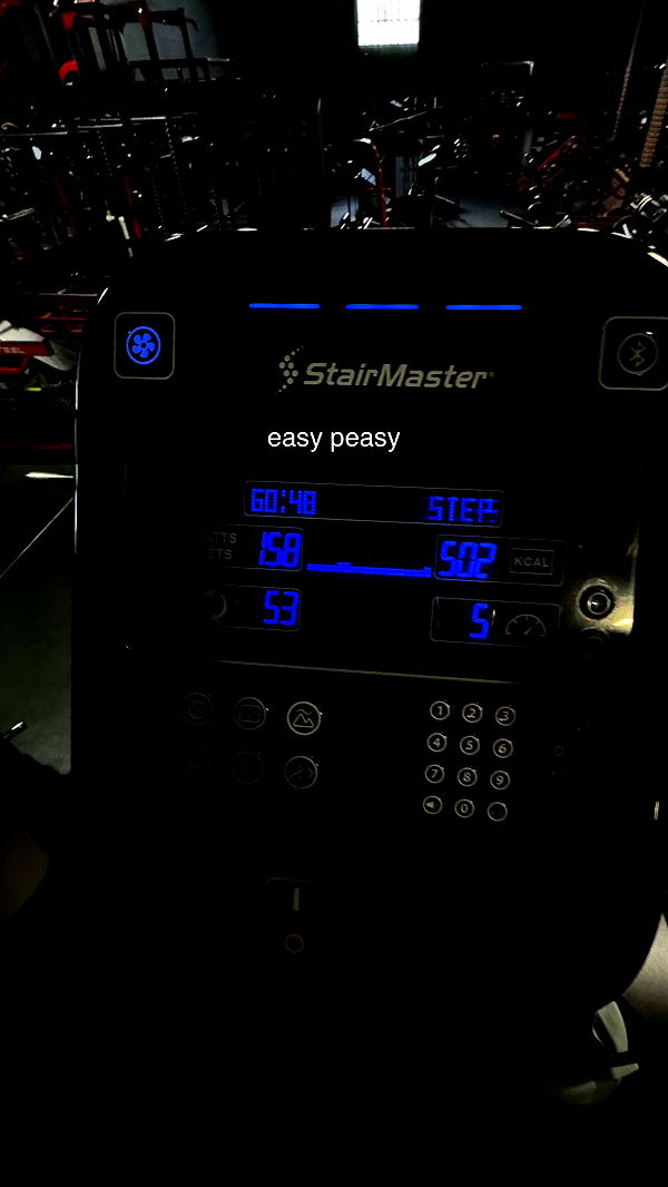 fionamaefit image ~ Altpins