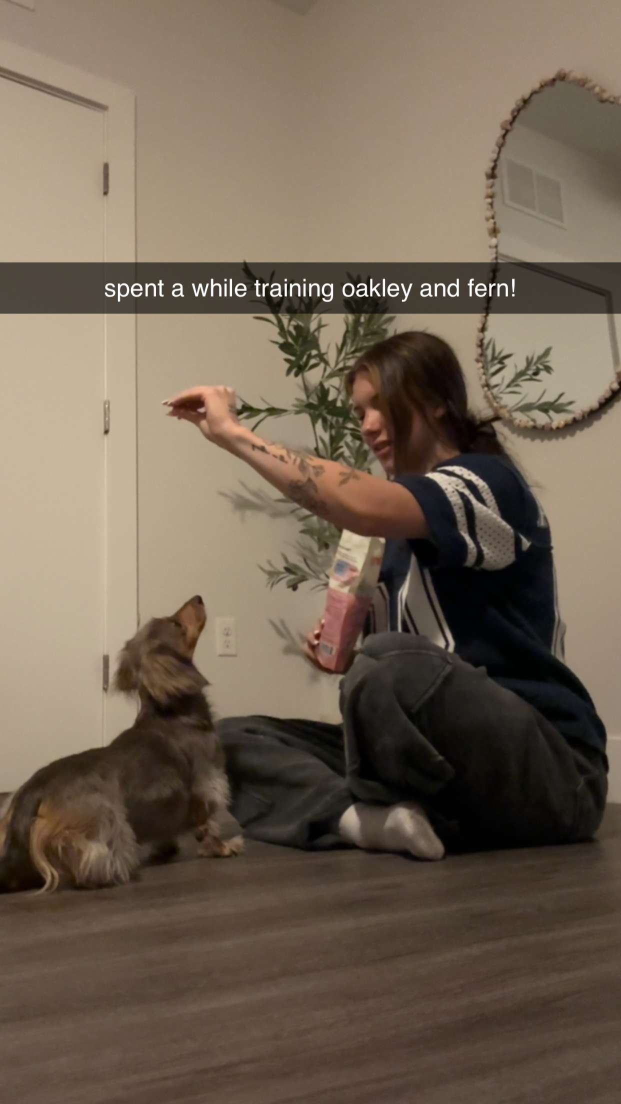 fionamaefit snapchat image archive image