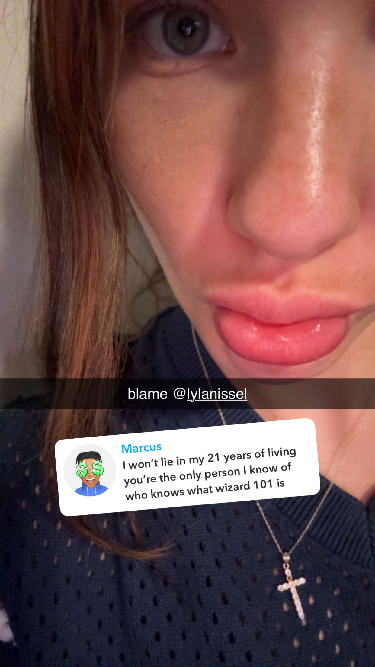 fionamaefit snapchat image archive image