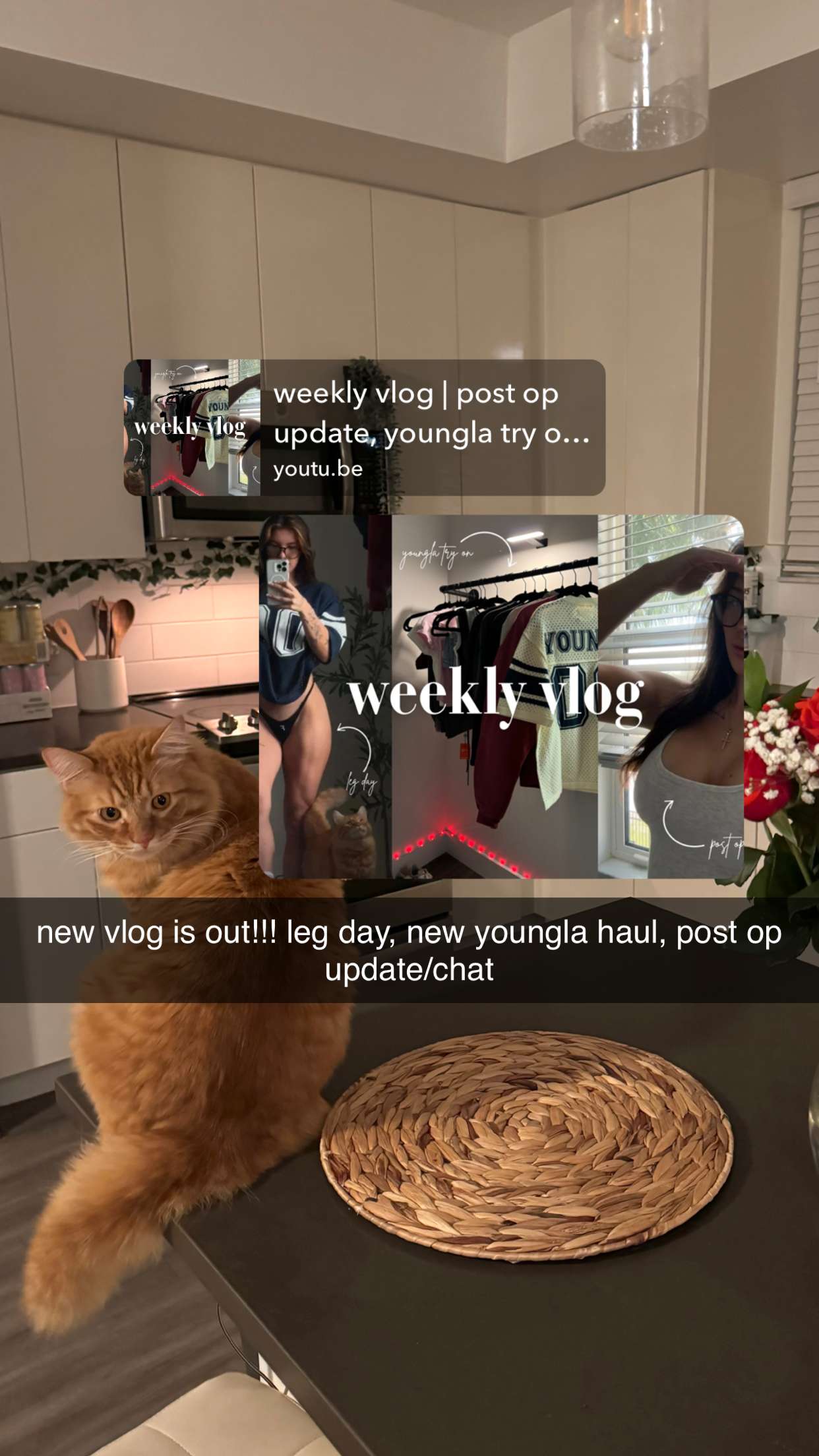 fionamaefit snapchat image archive image