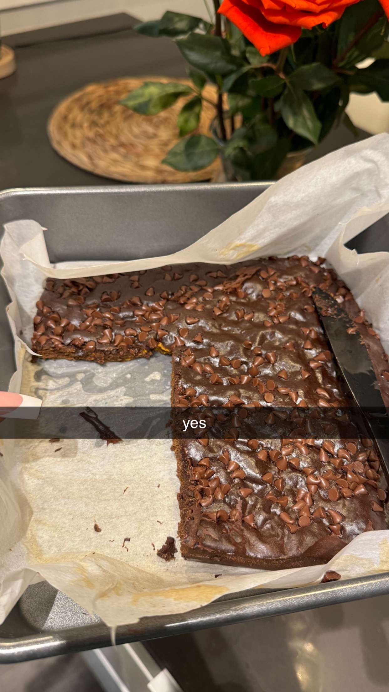 fionamaefit snapchat image archive image