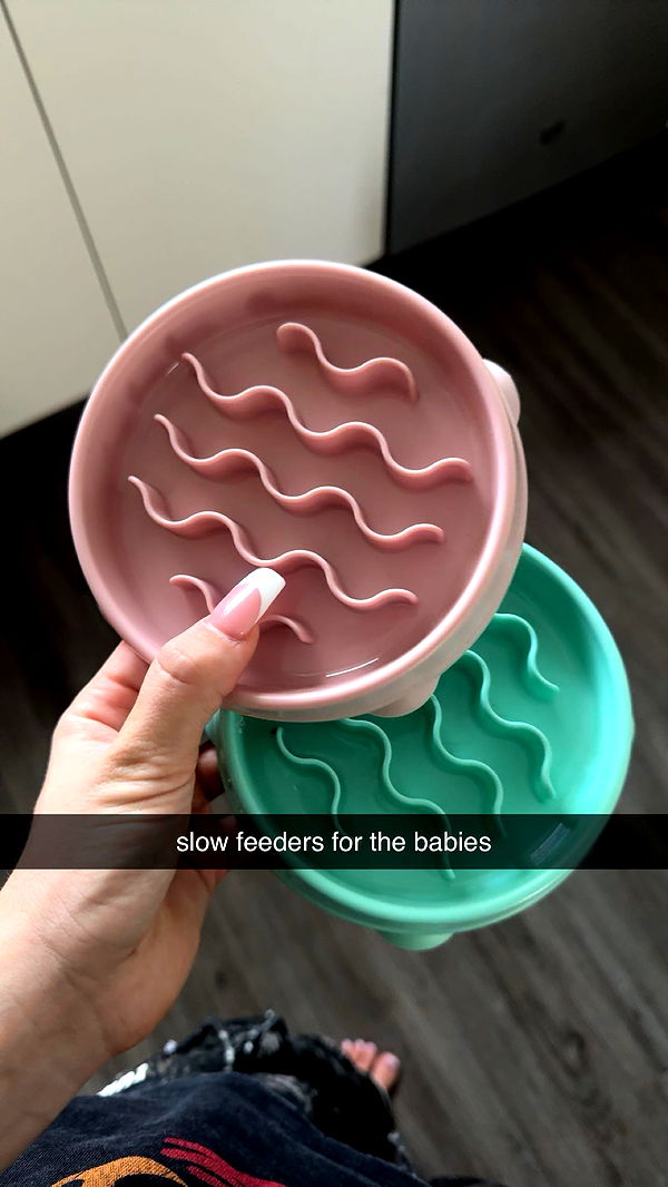 fionamaefit image ~ Altpins