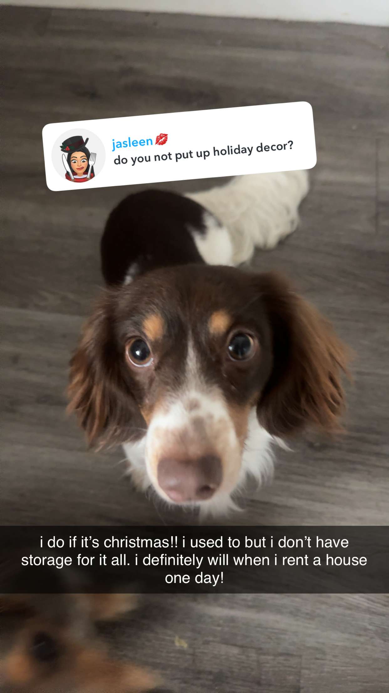 fionamaefit snapchat image archive image