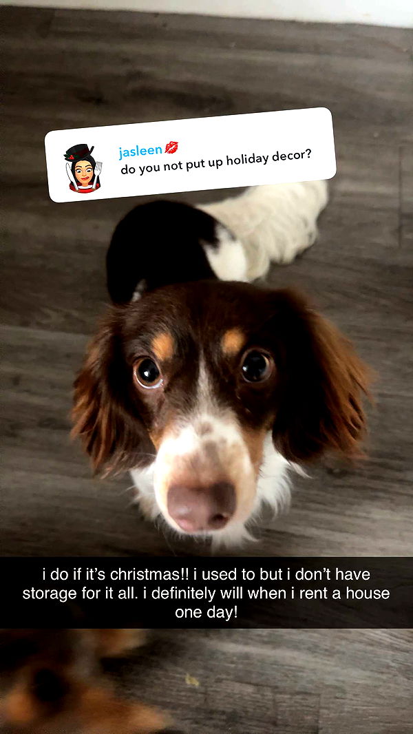 fionamaefit image ~ Altpins