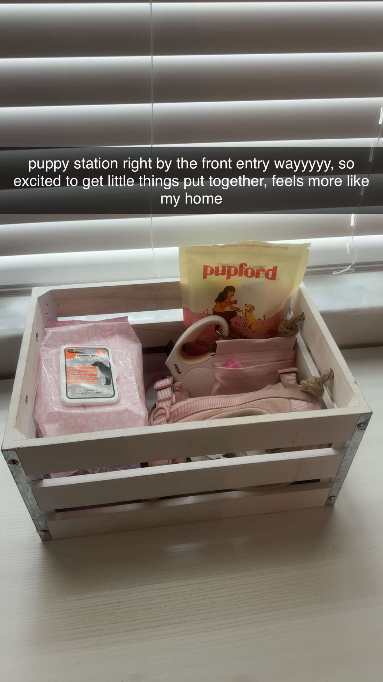 fionamaefit snapchat image archive image