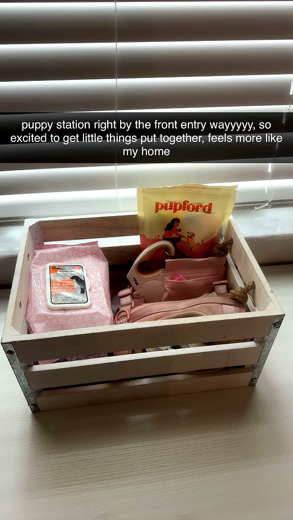 fionamaefit image ~ Altpins