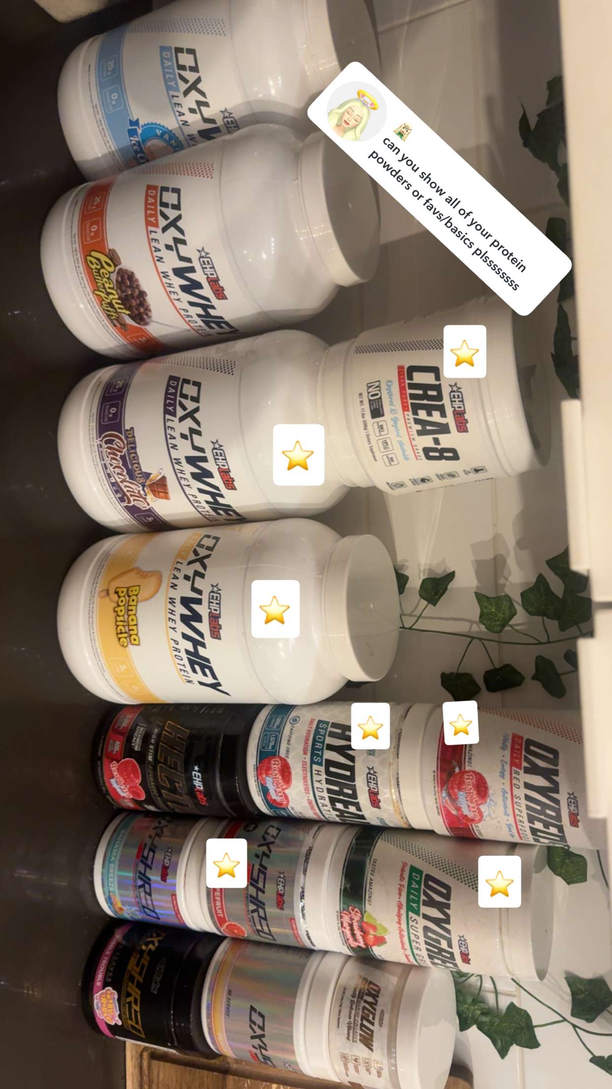 fionamaefit snapchat image archive image