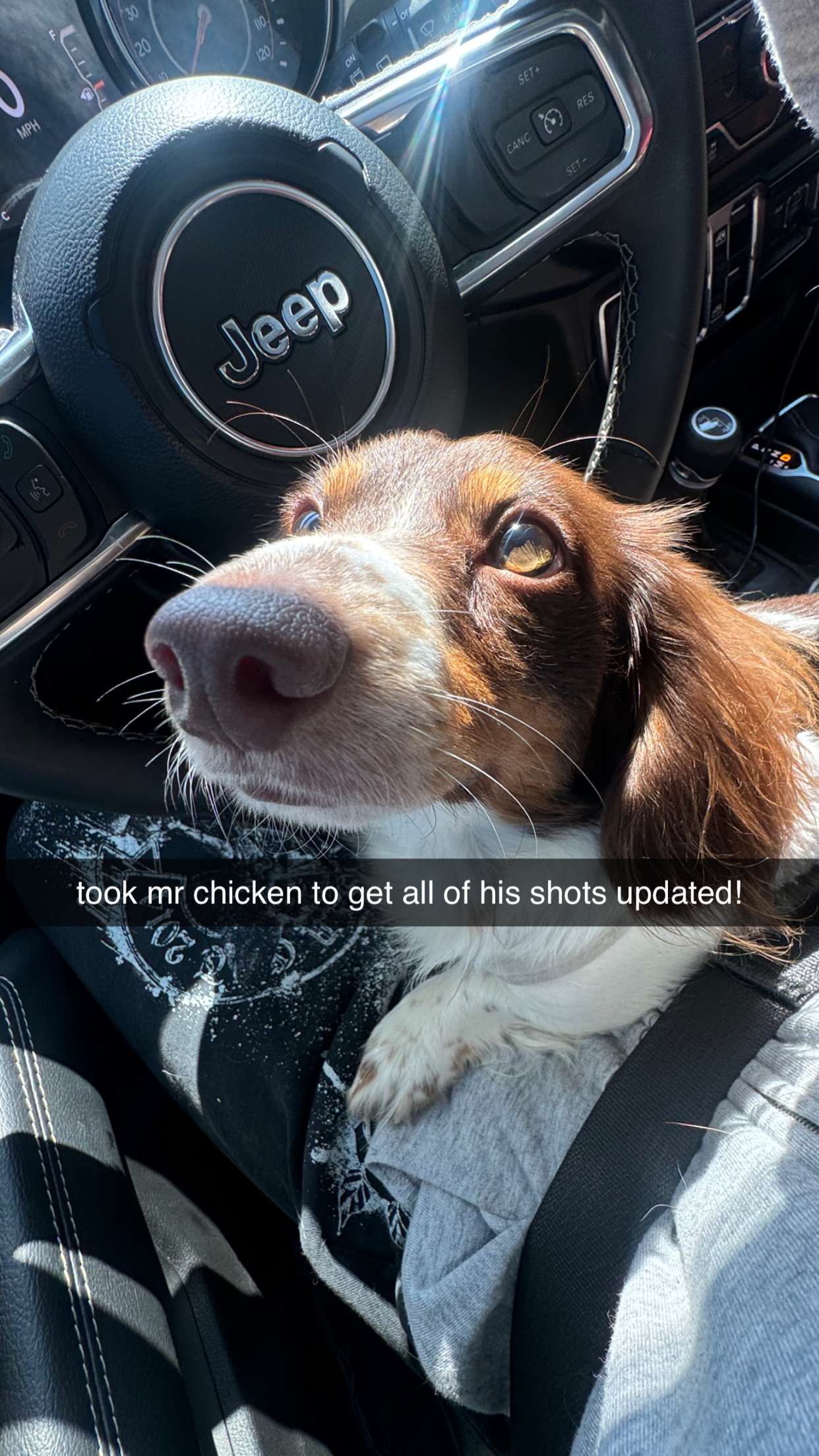 fionamaefit snapchat image archive image