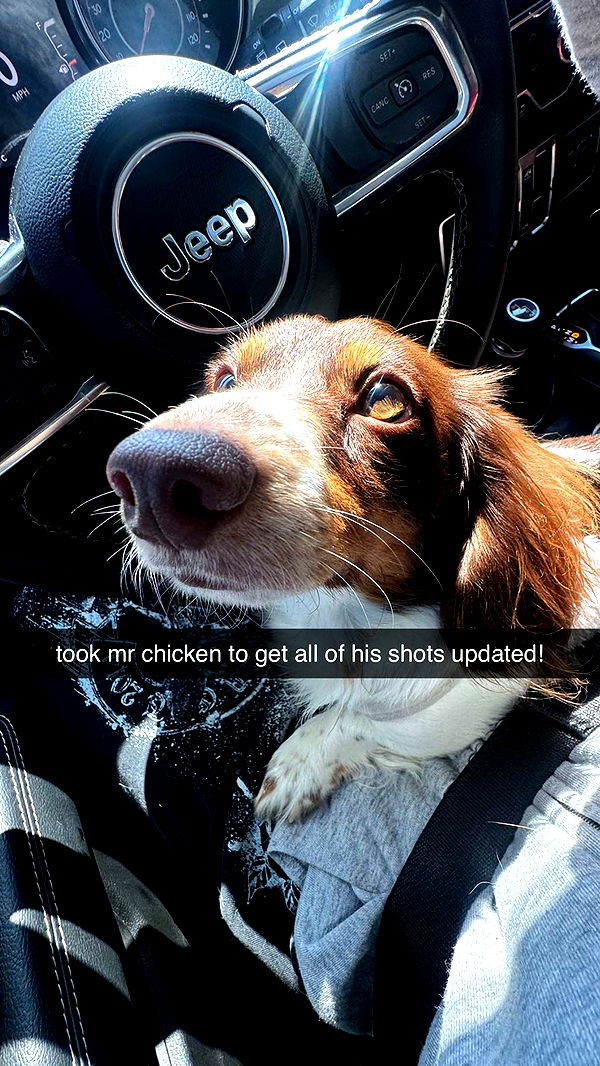 fionamaefit image ~ Altpins