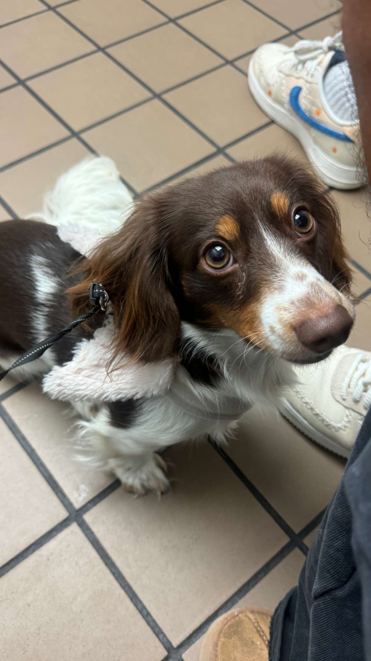 fionamaefit snapchat image archive image