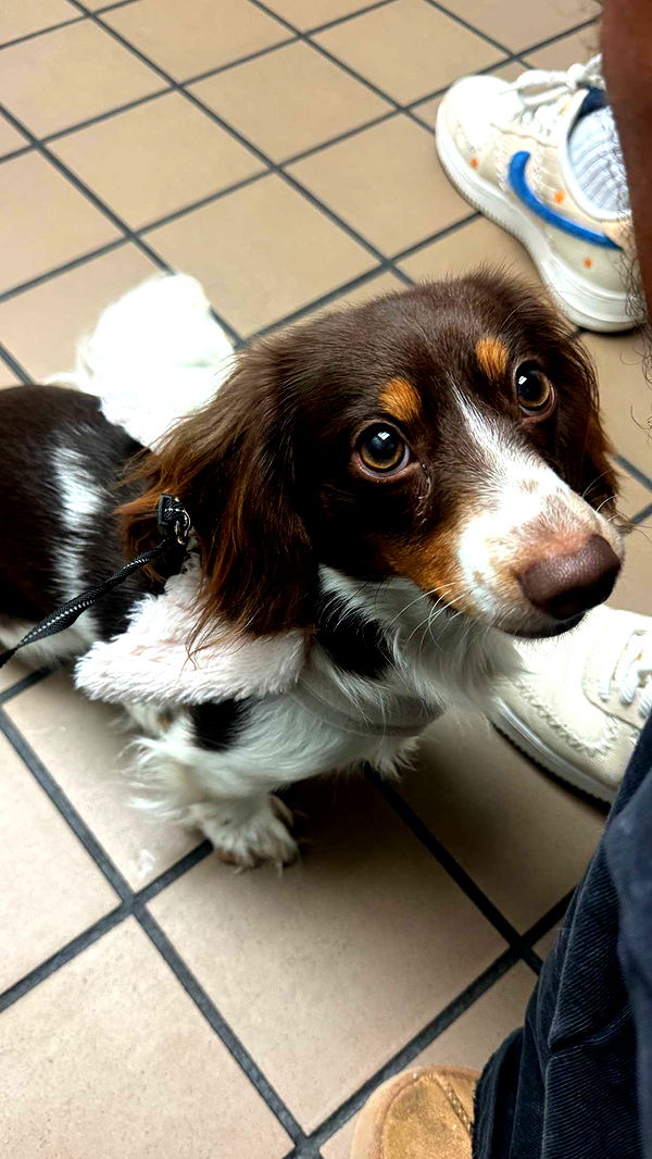 fionamaefit image ~ Altpins