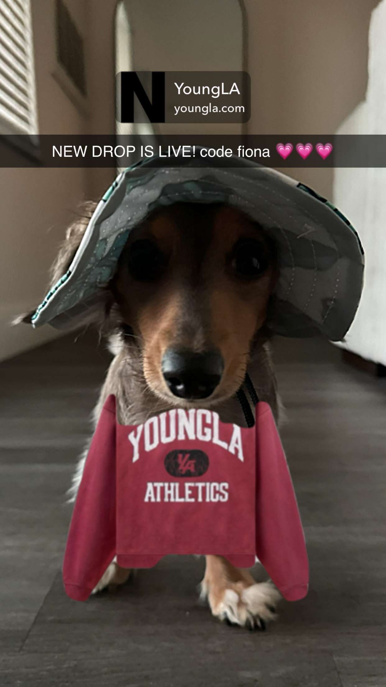 fionamaefit snapchat image archive image