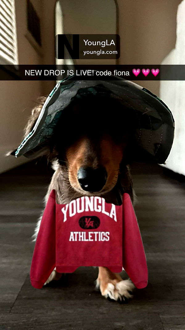 fionamaefit image ~ Altpins