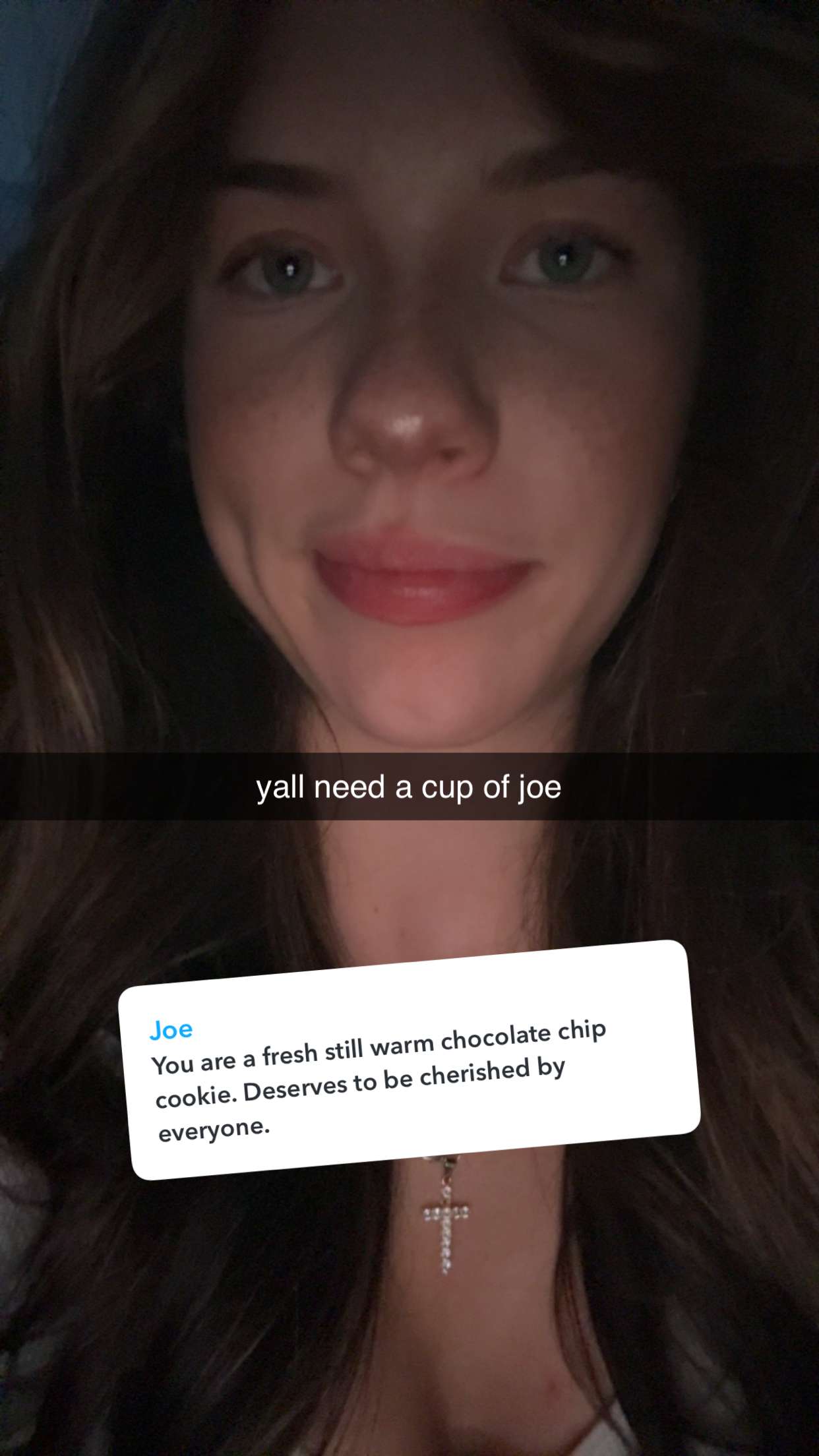 fionamaefit snapchat image archive image