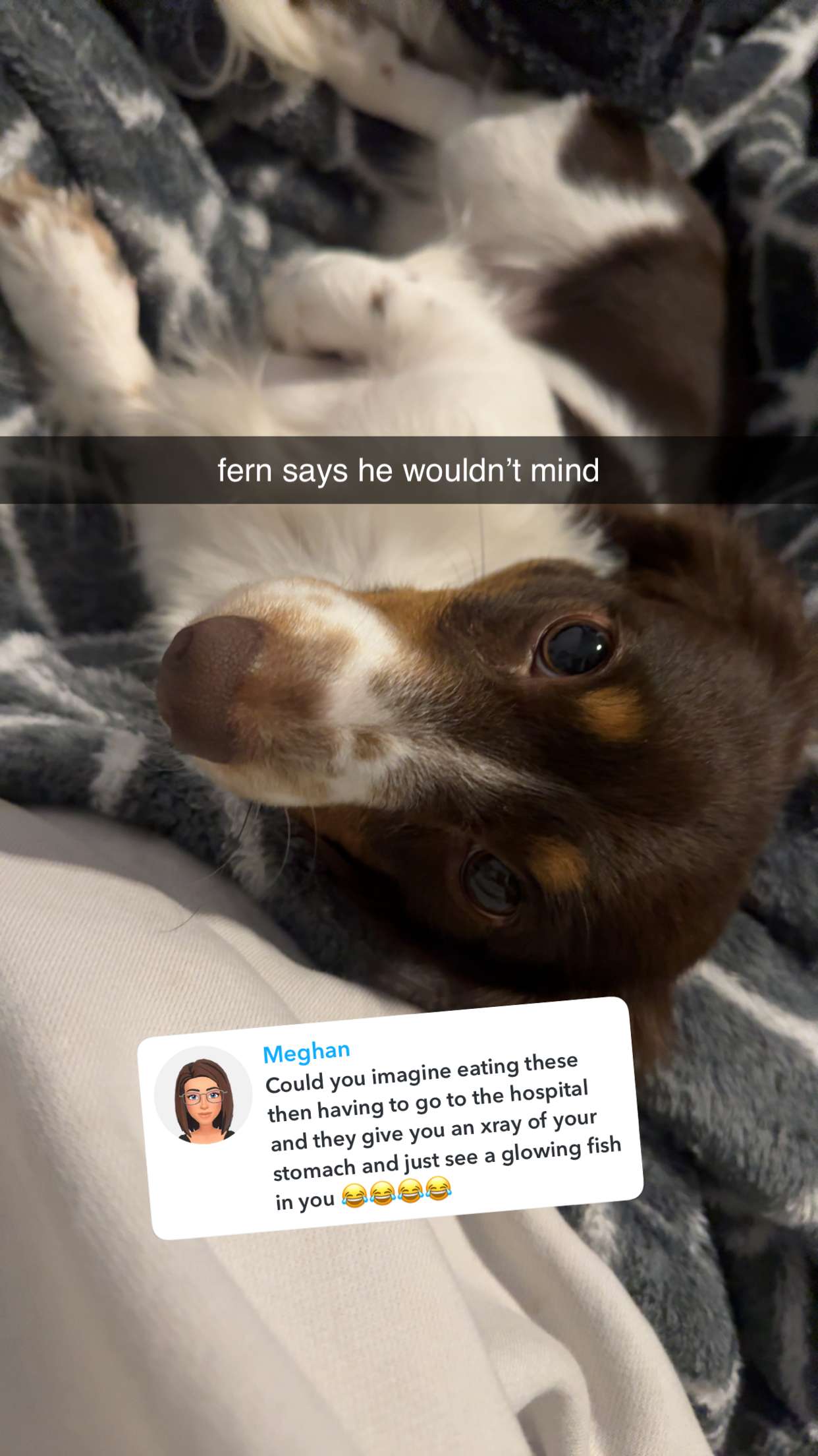 fionamaefit snapchat image archive image