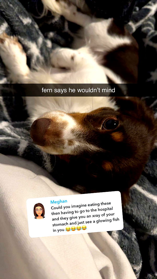 fionamaefit image ~ Altpins