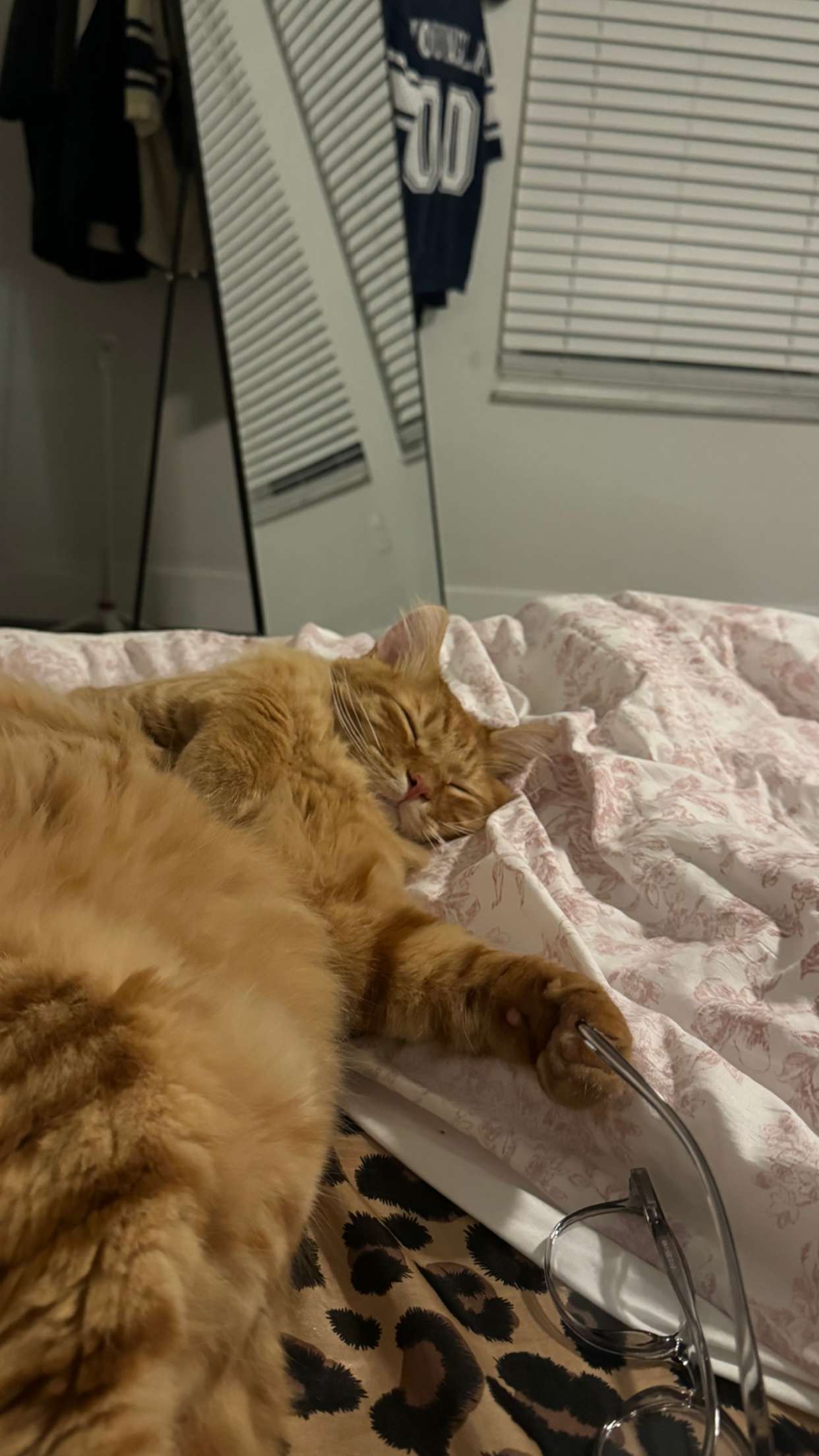 fionamaefit snapchat image archive image