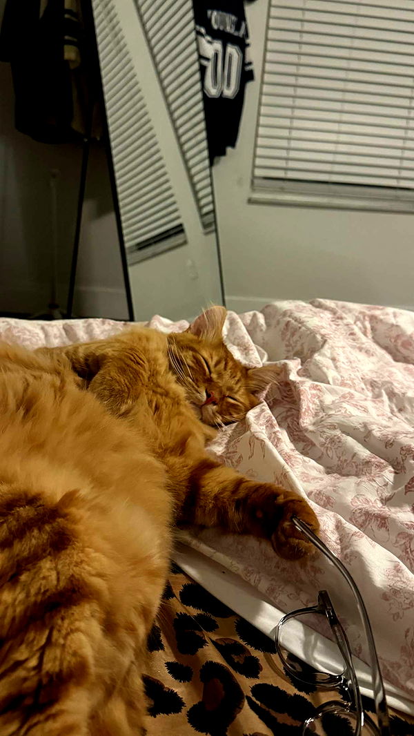 fionamaefit image ~ Altpins