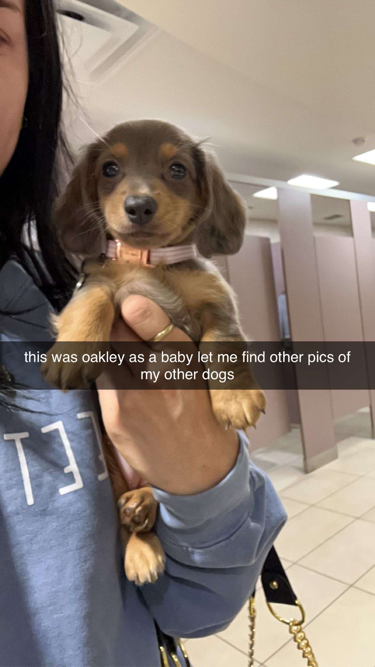 fionamaefit snapchat image archive image