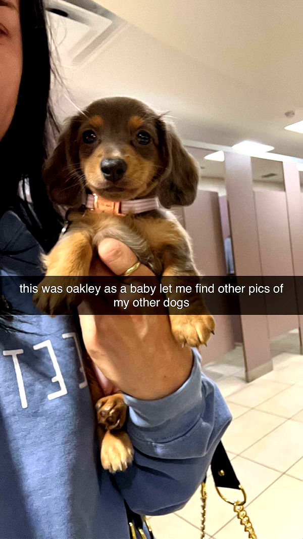 fionamaefit image ~ Altpins