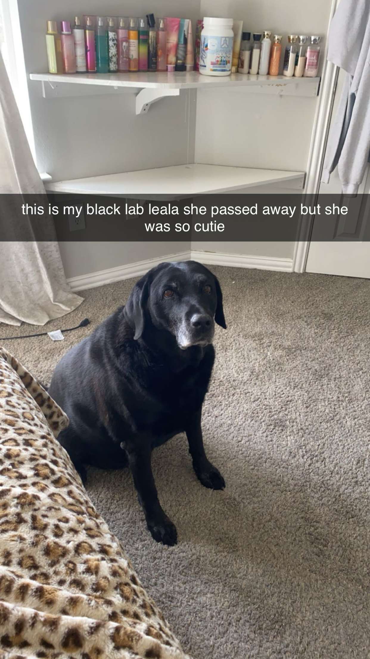 fionamaefit snapchat image archive image