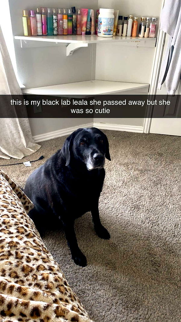 fionamaefit image ~ Altpins