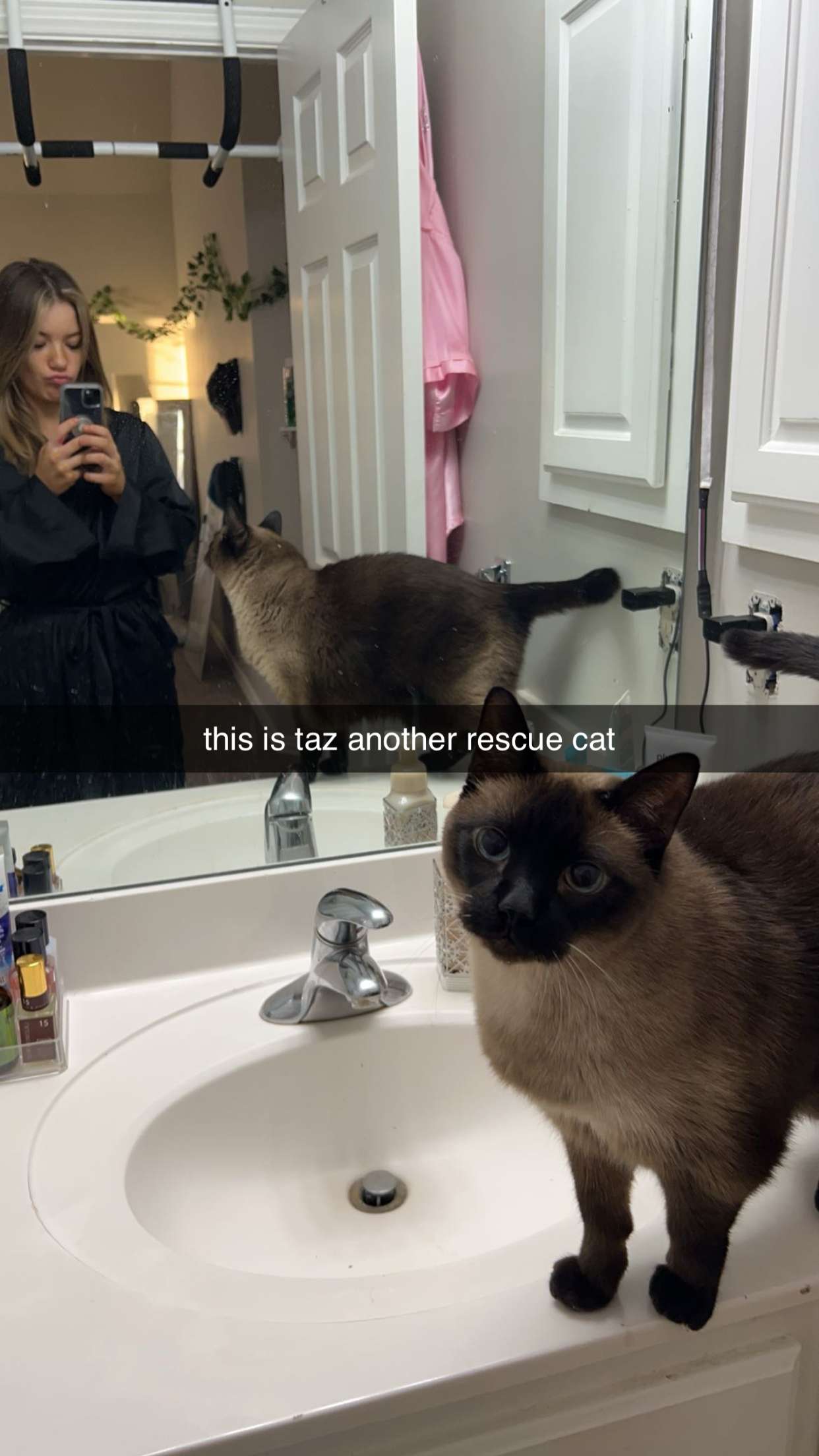 fionamaefit snapchat image archive image